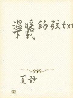 温暖的弦txt下载