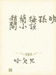 赵兰梅孙明笔趣阁小说