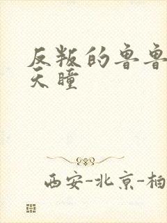 反叛的鲁鲁修之天瞳