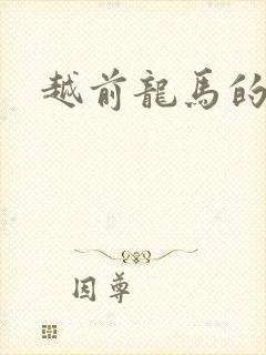 越前龙马的小说