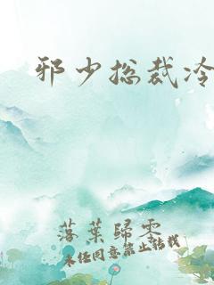 邪少总裁冷心秘