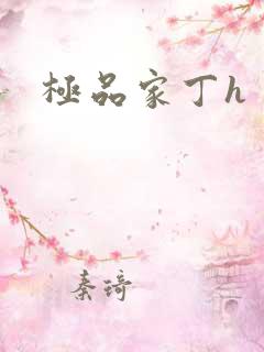 极品家丁h