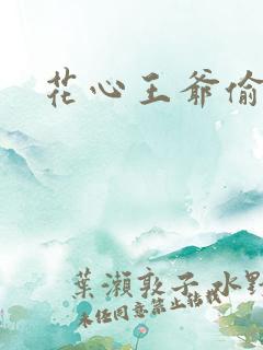 花心王爷偷心妾