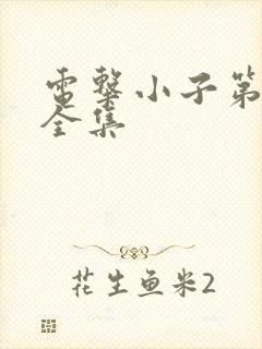 电击小子第二部全集