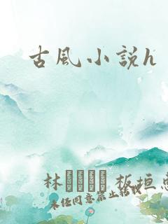 古风小说h