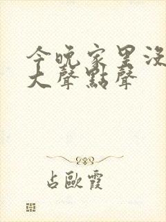 今晚家里没人叫大声点声