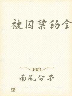 被囚禁的金丝雀