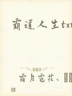 霸道人生txt