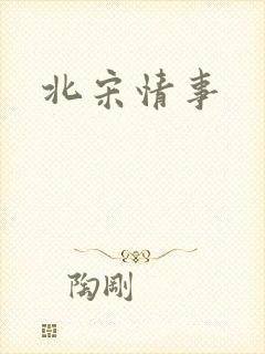 北宋情事