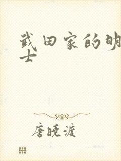 武田家的明国武士