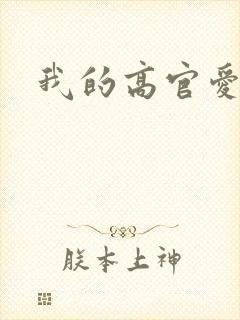 我的高官爱人