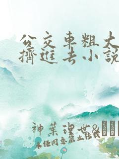 公交车粗大缓缓挤进去小说