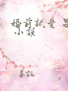 婚前试爱 吕颜 小说