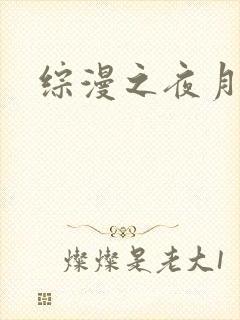综漫之夜月