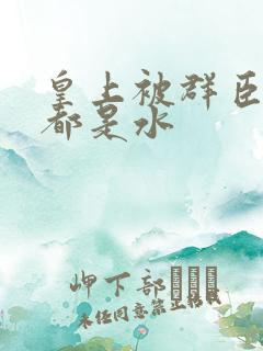 皇上被群臣干的都是水