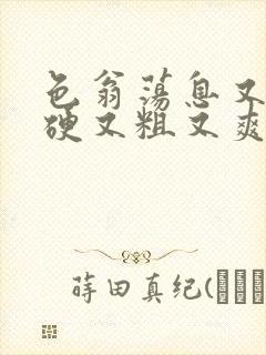 色翁荡息又大又硬又粗又爽