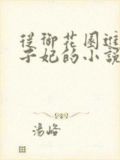 从御花园进入太子妃的小说