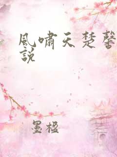 风啸天楚馨月小说