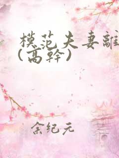 模范夫妻离婚了(高干)