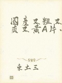 国产又粗又猛又爽又黄A片小说