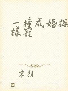 一撞成婚总裁花样宠