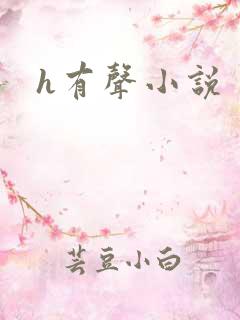 h有声小说