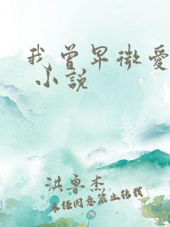 我曾卑微爱过你 小说