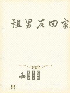 租男友回家过年