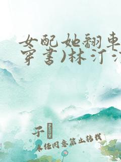 女配她翻车了(穿书)林汀汀