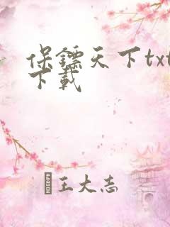 保镖天下txt下载