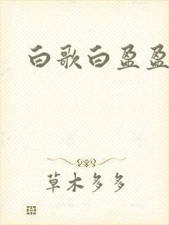 白歌白盈盈小说