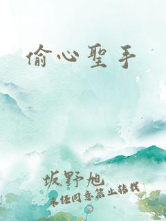 偷心圣手