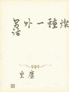 另外一种灿烂生活