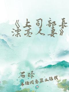 《上司部长出轨漂亮人妻》