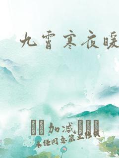 九霄寒夜暖小说