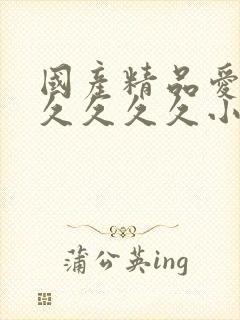 国产精品爱久久久久久久小说