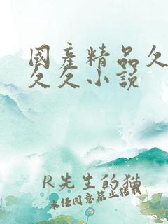 国产精品久久久久久小说