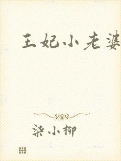 王妃小老婆