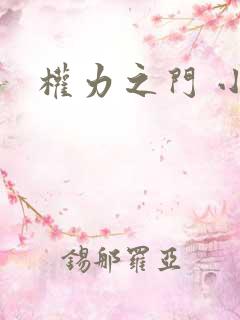 权力之门 小说
