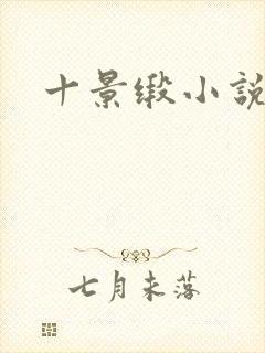 十景缎小说