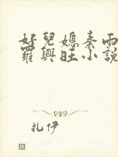 好儿媳秦雨罗明罗兴旺小说