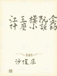 江玉楼阮念笙是什么小说的名字