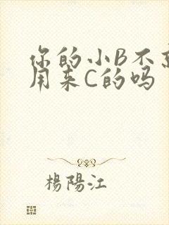 你的小B不就是用来C的吗