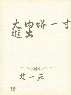 大肉蟒一寸一寸进出