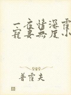 一夜情深霍先生宠妻无度小说免费阅读