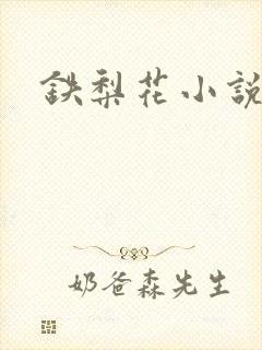 铁梨花小说
