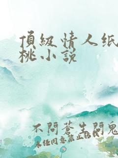 顶级情人纸皮核桃小说