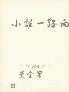 小说一路向西