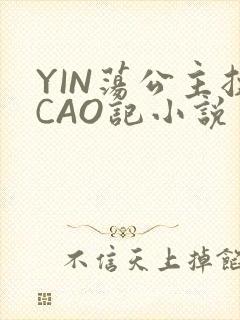 YIN荡公主挨CAO记小说