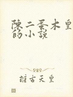 陈二蛋木皇真经的小说